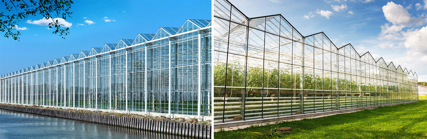 青州市舜華包裝有限公司