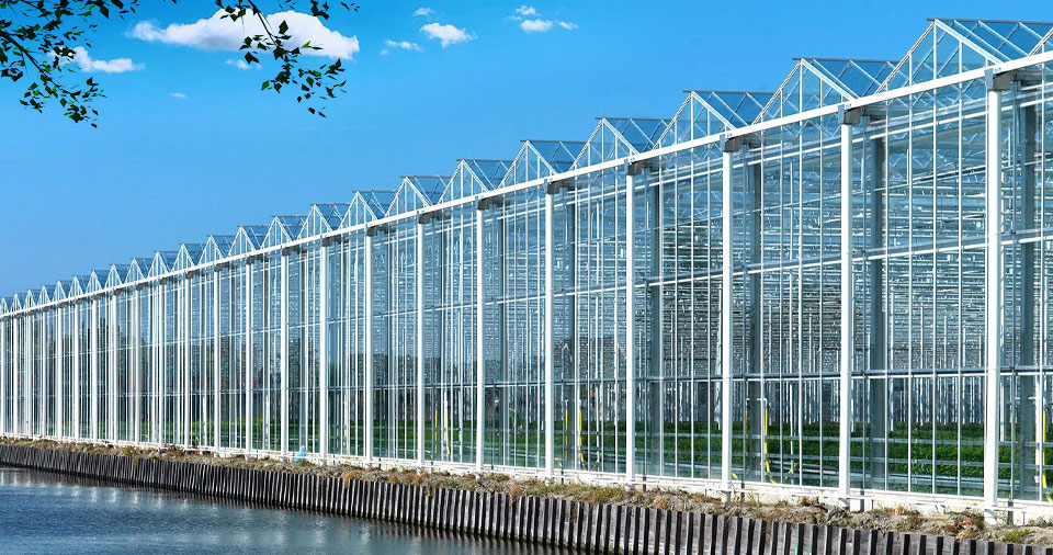 青州市舜華包裝有限公司